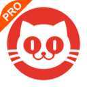 猫眼专业版app下载安装-猫眼专业版实时票房下载v6.1.9