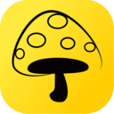 蘑菇丁app最新版下载-蘑菇丁安卓最新版下载v3.3.0