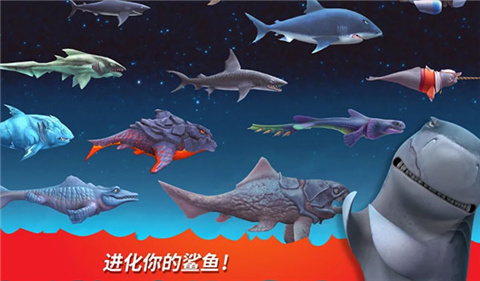 饥饿鲨进化截图2