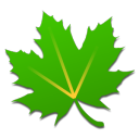 绿色守护root直装版v5.0