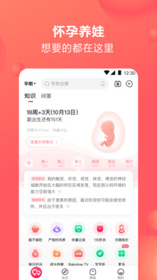 宝宝树孕育最新版手机版截图3