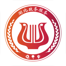 2023湖北鄂汇办app安卓版v4.1.2