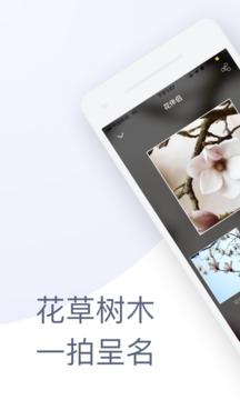 花伴侣拍照识花app截图1