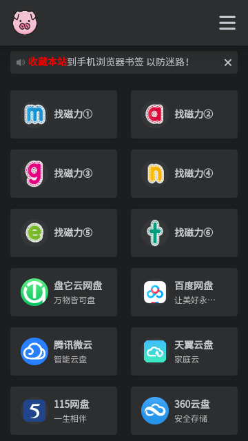 bt磁力猪去广告纯净版截图1