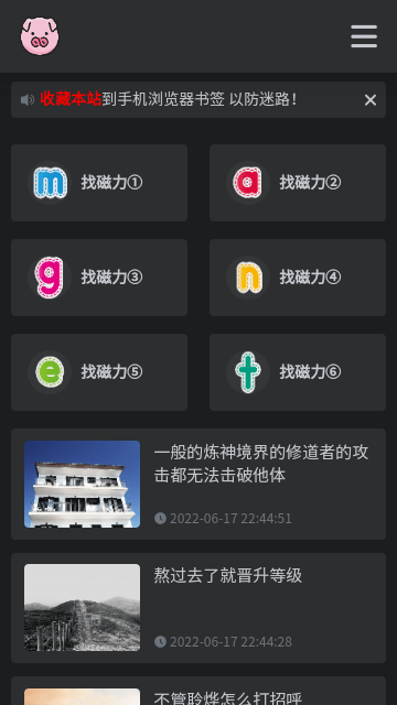 bt磁力猪截图4