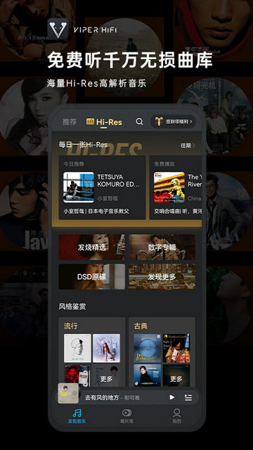 VIPER HiFi截图1