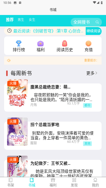 点众小说大全截图2