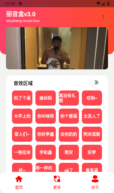 丽音盒截图3