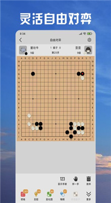 星阵围棋截图4