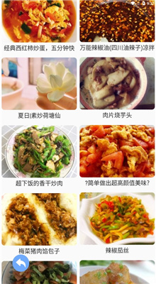 天天美食菜谱截图1