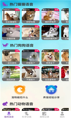 啵啵猫狗语音完整版截图3