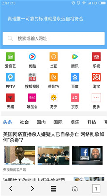 VIP浏览器最新版截图2