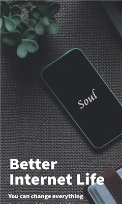 soul浏览器最新版截图3