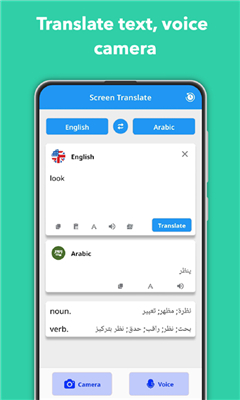 屏幕翻译最新版截图3