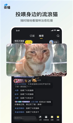 哈啰街猫最新版截图2