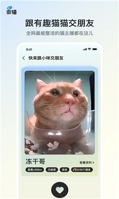 哈啰街猫最新版截图3