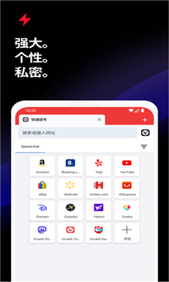 vivaldi浏览器最新版截图2